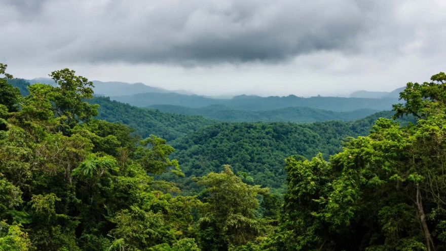 Phát hiện thi thể du khách mất tích ở rừng Cúc Phương